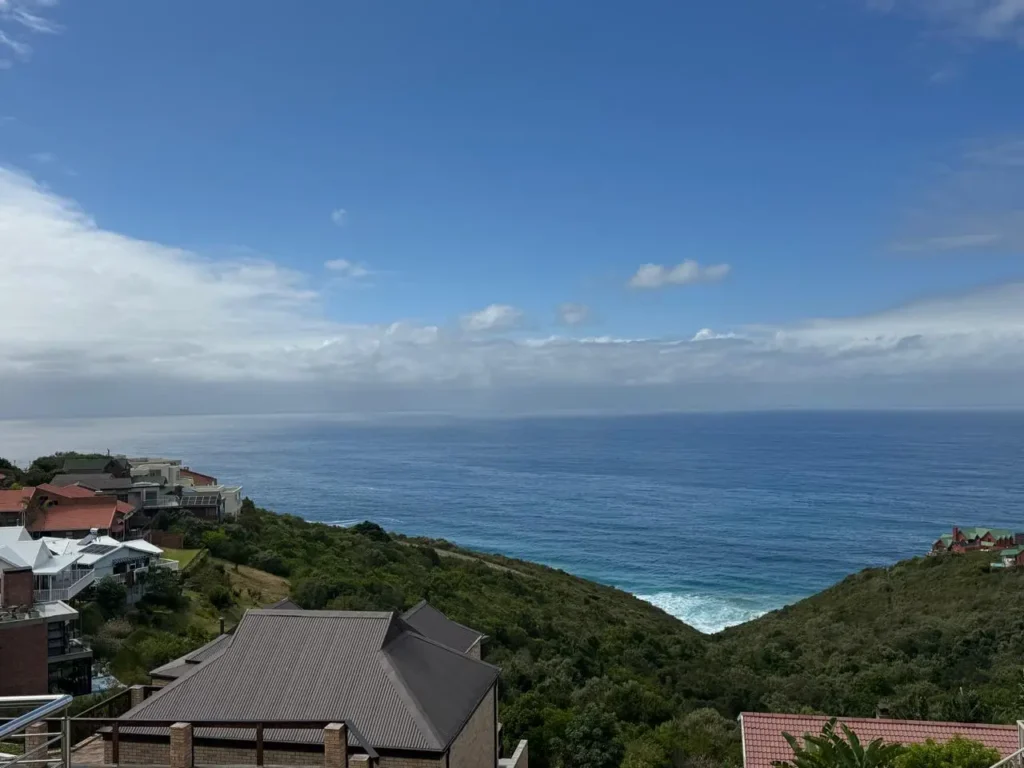 View (3)